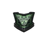 ZHANFEIS Motorcycle Tail Brake Light For Kawasaki For Z900 For Z650 For Ninja 650 2017-2021 Motorcycle LED Taillight Moto Rear Brake Light Indicator Lamp(Green)