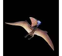 Zhangpu Pteranodon Model Toy Exquisite Ornaments for Children's Educational Toys,Develop Dexterity for Hours of Imaginative Play for Kids/Unique Simulation Pteranodon Model Toy, PVC, 8.27" Size