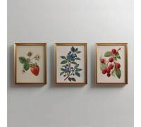ZHAOLIN 3pcs Vintage Fruit Strawberry Raspberry Blueberry Rustic Art Poster Retro Botanical Canvas Print for Kitchen Decor Painting(40x60cmx3/Frameless)