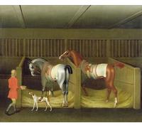 ZHAOSHAN Classic Landscape Artwork Artwork Print a Greyhound Facing Left by Famous Painter Wall Art Graffiti for Office Decor 60x90cm