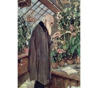 ZHAOSHAN Classic Landscape Artwork Artwork Print Charles Robert Darwin by John Collier Wall Art Graffiti for Office Decor 60x90cm