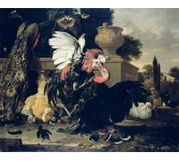 ZHAOSHAN Classic Landscape Artwork Artwork Print Fight Between a Animal and a Turkey by Melchior De Hondecoeter Wall Art Graffiti for Office Decor 60x90cm