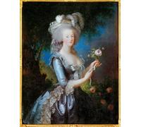 ZHAOSHAN Classic Landscape Artwork Artwork Print Rose Portrait of Marie Antoinette of Lorraine Habsburg by Elisabeth Louise Vigee Lebrun Wall Art Graffiti for Office Decor 60x90cm
