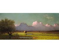 ZHAOSHAN Classic Landscape Artwork Artwork Print Sunlight and Shadow the Newbury Marshes by Martins Johnson Heade Wall Art Graffiti for Office Decor 60x90cm