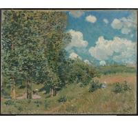 ZHAOSHAN Classic Landscape Artwork Artwork Print the Road From Versailles to Saint Germain by Alfred Sisle Wall Art Graffiti for Office Decor 60x90cm