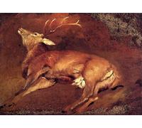 ZHAOSHAN Classic Wall Art Decor Modern Canvas Picture Study of a Dead Stag by Sir Edwin Henry Landseer Art Canvas Murals for Home Decor 60x90cm