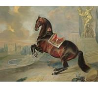 ZHAOSHAN Classic Wall Art Decor Modern Canvas Picture the Dark Bay Animal Valido Performing a Levade Movement by Johann Georg Art Canvas Murals for Home Decor 60x90cm