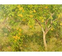 ZHAOSHAN Classic Wall Art Decor Modern Canvas Picture the Lemon Tree by Henrytuke Art Canvas Murals for Home Decor 60x90cm