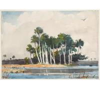 ZHAOSHAN Classic Wall Art Decor Modern Canvas Picture the Turkey Buzzard by Winslow Homer Art Canvas Murals for Home Decor 60x90cm