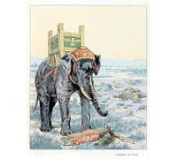 ZHAOSHAN Famous Colorful Art Print Vintage Poster Illustration From the Book a La Gloire Des Betes Text Classic Canvas Picture for Office Decor 60x90cm