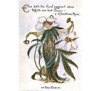 ZHAOSHAN Famous Colorful Art Print Vintage Poster Illustration Showing a Fairy As a Christmas Rose by Walter Crane Classic Canvas Picture for Office Decor 60x90cm