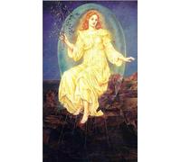 ZHAOSHAN Famous Colorful Art Print Vintage Poster Lux in Tenebrisn by Evelyn De mrgans Classic Canvas Picture for Office Decor 60x90cm