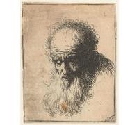 ZHAOSHAN Famous Poster Artworks Art Print Poster Bust of an old man with a Flowing Beard: the head bowed forward: left shoulder Unshaded by Bretherton Animal Pictures for Home Decor 60x90cm