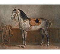 ZHAOSHAN Famous Poster Artworks Art Print Poster Lipizzaner by Otto Eerelman Animal Pictures for Home Decor 60x90cm