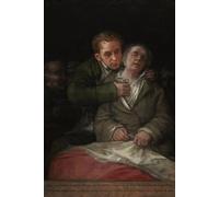 ZHAOSHAN Famous Poster Artworks Art Print Poster Self-portrait with Dr Arrieta by Francisco De Goya Animal Pictures for Home Decor 60x90cm