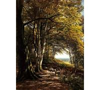 ZHAOSHAN Famous Poster Artworks Art Print Poster Sheep Grazing in a Forest Cleaaring by Edmund George Warren Animal Pictures for Home Decor 60x90cm
