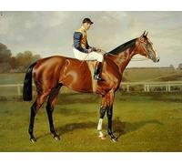 ZHAOSHAN Famous Poster Artworks Art Print Poster Spearmint Winner of the by Emil Adam Animal Pictures for Home Decor 60x90cm