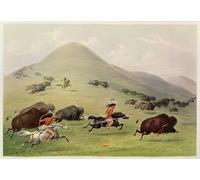 ZHAOSHAN Famous Poster Artworks Art Print Poster the Animal Hunt by George Catlin Animal Pictures for Home Decor 60x90cm