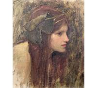 ZHAOSHAN Famous Poster Artworks Art Print Poster the Beautiful Lady Without Mercy by John William Waterhouse Animal Pictures for Home Decor 60x90cm