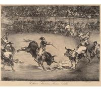 ZHAOSHAN Famous Poster Artworks Art Print Poster the Famous American Mariano Ceballos by Francisco De Goya Animal Pictures for Home Decor 60x90cm