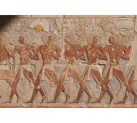 ZHAOSHAN Vintage Pictures Printed Graffiti Print a Parade in Honour of the Hathor by Famous Artist Portrait Canvas Image for Home Decor 60x90cm