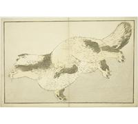 ZHAOSHAN Vintage Pictures Printed Graffiti Print animal From the Picture Book by Katsushika Hokusai Portrait Canvas Image for Home Decor 60x90cm