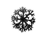 ZHAOSHAN Vintage Pictures Printed Graffiti Print Canvas Poster Picture by Karl Blossfeldt Portrait Canvas Image for Home Decor 60x90cm