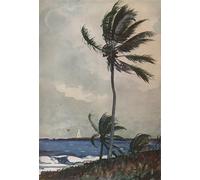 ZHAOSHAN Vintage Pictures Printed Graffiti Print Palm Trees Nassau by Winslow Homer Portrait Canvas Image for Home Decor 60x90cm