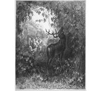 ZHAOSHAN Vintage Pictures Printed Graffiti Print the Deer and the Vine by Gustave Dore Portrait Canvas Image for Home Decor 60x90cm