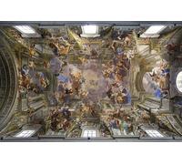 ZHAOSHAN Vintage Pictures Printed Graffiti Print Vault of the Church of St Ignatius of Loyola Inby Andrea Pozzo Portrait Canvas Image for Home Decor 60x90cm