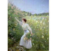 ZHAOSHAN Vintage Pictures Printed Graffiti Print Wild Honeysuckle by Pierre Andre Brouillet Portrait Canvas Image for Home Decor 60x90cm
