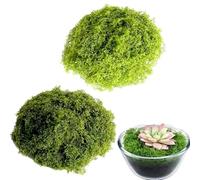 ZHAOYCSH 100g Artificial Moss for Crafts Decor, 50g Light Green & 50g Dark Green, Fake Moss for DIY Models, Wall Decor, Nativity Scenes, Aquarium Landscaping, Terrarium and Christmas Home Decoration