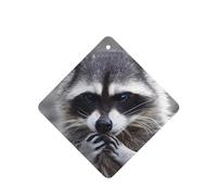 ZhaoYuGoods Cute Raccoon Lavender Car Air Freshener Cards for Women Men (6 Pack), Hanging Scented Decor for Car Mirror, Home, Closet