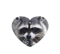 ZhaoYuGoods Cute Raccoon Lavender Car Air Freshener Cards for Women Men (6 Pack), Hanging Scented Decor for Car Mirror, Home, Closet