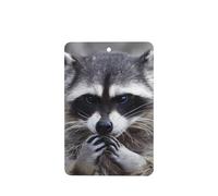 ZhaoYuGoods Cute Raccoon Lavender Car Air Freshener Cards for Women Men (6 Pack), Hanging Scented Decor for Car Mirror, Home, Closet