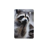 ZhaoYuGoods Cute Raccoon Lavender Car Air Freshener Cards for Women Men (6 Pack), Hanging Scented Decor for Car Mirror, Home, Closet