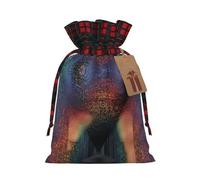 ZhaoYuGoods Holographic Dreams Christmas Drawstring Gift Bag, Reusable Bags for Gifts, Holiday Presents with Tag
