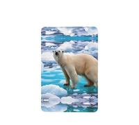 ZhaoYuGoods Polar Bear Ice Lavender Car Air Freshener Cards for Women Men (6 Pack), Hanging Scented Decor for Car Mirror, Home, Closet