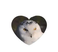 ZhaoYuGoods Snowy Owl Eyes Lavender Car Air Freshener Cards for Women Men (6 Pack), Hanging Scented Decor for Car Mirror, Home, Closet