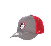 ZHATS Men's NCAA Officially Licensed Adjustable Hat Gray University, One Size
