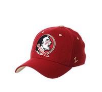 ZHATS Men's Stretch Fitted Hat Team Color