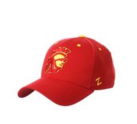 ZHATS Men's Team Color Stretch Fitted Hat, Large