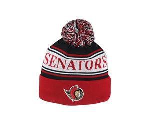 ZHATS NHL Officially Licensed Beanie Pom Finish Line