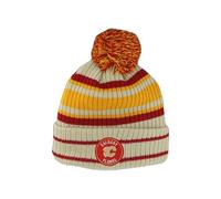 ZHATS NHL Officially Licensed Beanie Pom Paramount