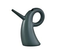 ZHDOKA Mini Tin Watering Can, Garden Shower with Handle, Portable Small Modern Watering Pot Plant Watering Container for Succulent Bonsai Garden Flower(#1)