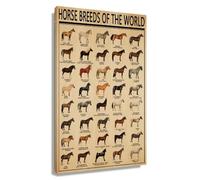 Zhefoart Horse Wall Art Knowledge Poster Canvas Framed Educational Animal Pictures Wall Decor Prints, The World Breeds of Horse Poster for Kids Room Decoration 12x18 inches