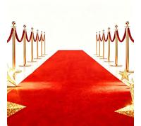 ZHENGDAOLE 3x10 ft Extra Thick Red Carpet Runner for Events &Party, Festival Celebration,Prom Proposal & Wedding, Graduation Ceremony, Award Ceremony,VIP Reception,Heavy-Duty, Non-Slip TPR Rubber