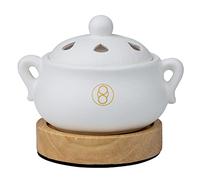 ZhengLong electronic incense burner, Frankincense Resin burner,No charcoal tablets required,15s to heat up, 122-608℉(50-320 °C), timing 1-5 hours.(White)