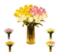 ZHENWO Radiant Romantic Tulip Light，Radiant Romantic Tulip Light with A Vase 15 Pcs，Flower Shaped Ambient Night Lamp for Bedroom Bedside Decor and Gift (Mix)