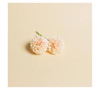 ZHFSWLKW 55 * 120cm Solid Matte PVC Anti-wrinkle Waterproof White Photo Backgrounds Backdrop for Photography Subject shooting(Beige Yellow)